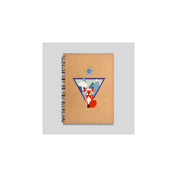 pack carnets de notes